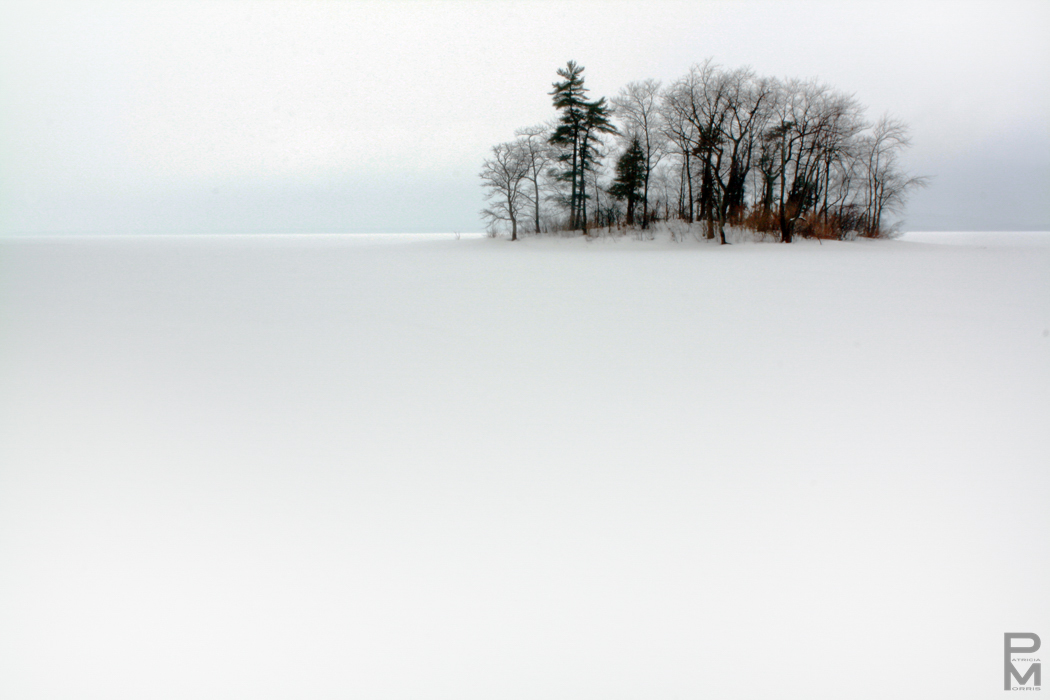 digital photograph, Landscape, view of a small island in Parc cap-St-Jacques, Quebec