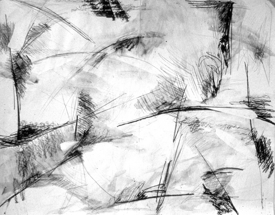 Abstract drawing, Graphite and charcoal on paper, 20x30 inches