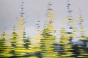 Autumn Drive II, Northwest Territories, oil on canvas