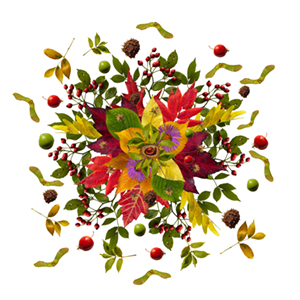 Autumn Mandala, composite photograph