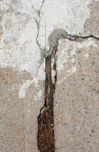 Photograph from the CRACK series