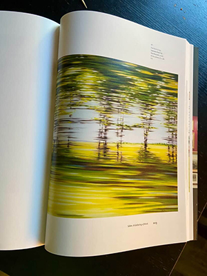 Image of my painting in the book Leaders in the Field, The History and Legacy of Art at Mount Allison