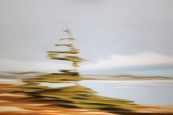 Lone Tree, Newfoundland, oil on canvas