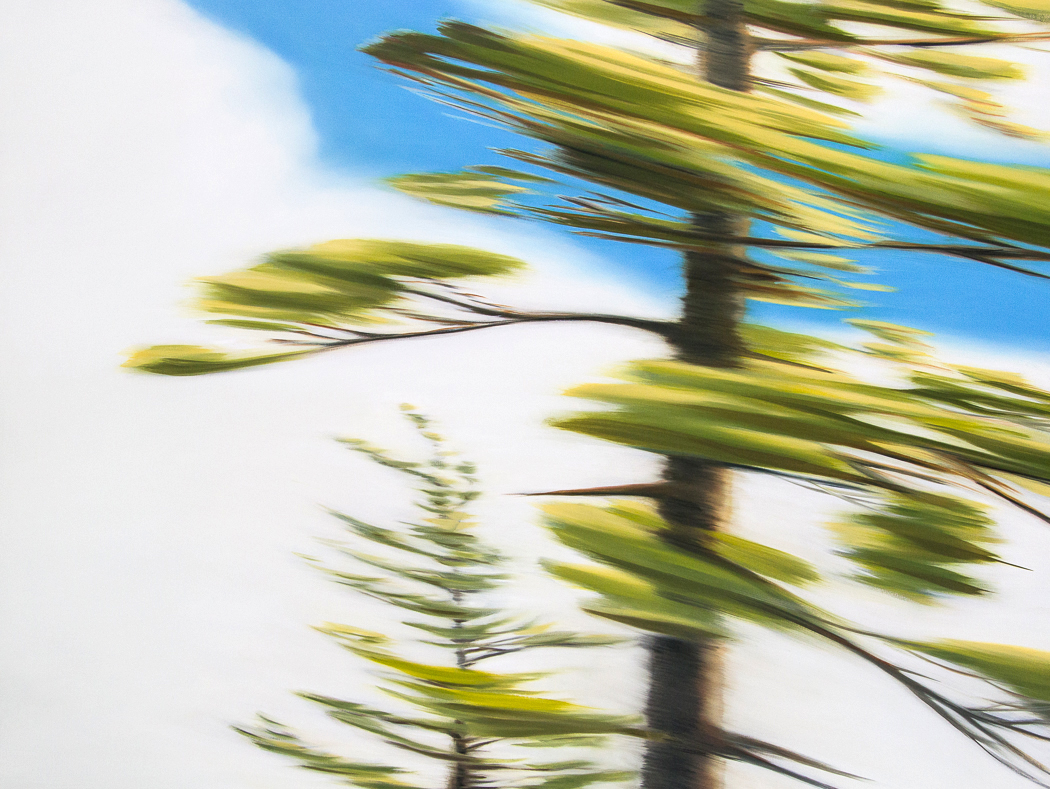 Two Trees, New Brunswick, oil on canvas