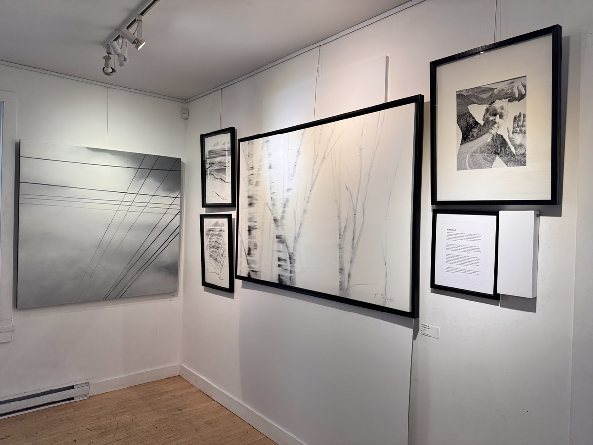 Installation view, In Transit solo exhibition, Viva Vida Art Gallery