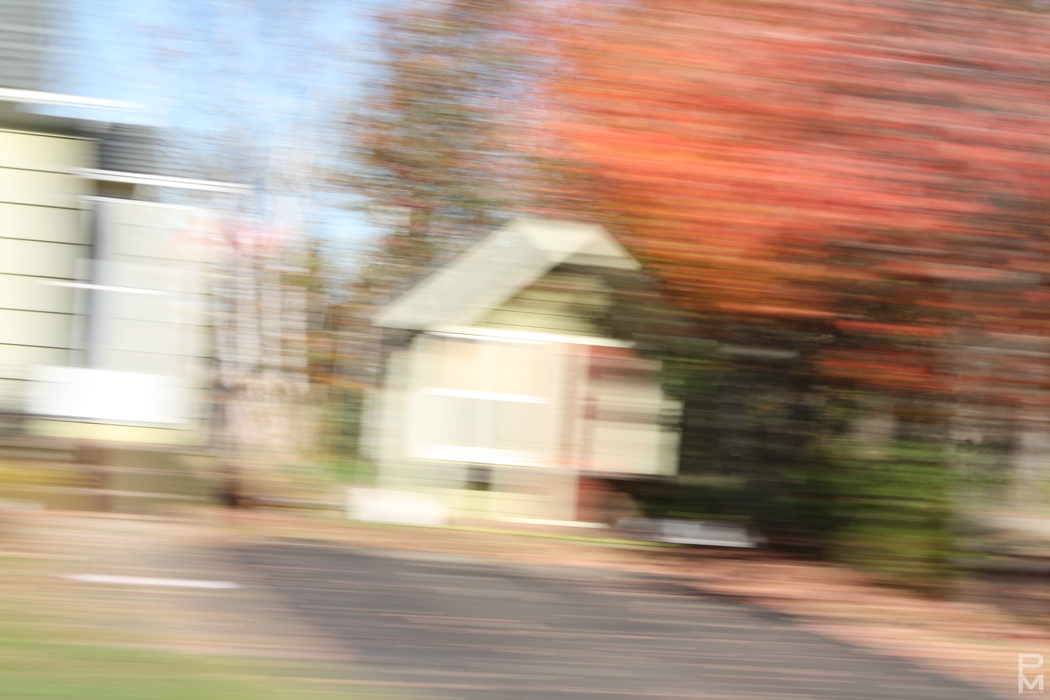 Motion-blurred photo of a house and autumn trees taken from a moving vehicle