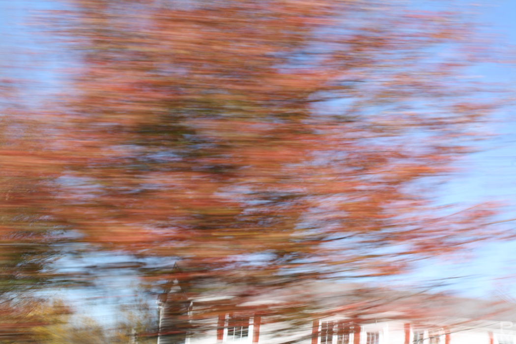 Motion-blurred photo of a red and orange autumn tree taken from a moving vehicle