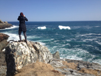 A person photographing icebergs from a coastal cliff