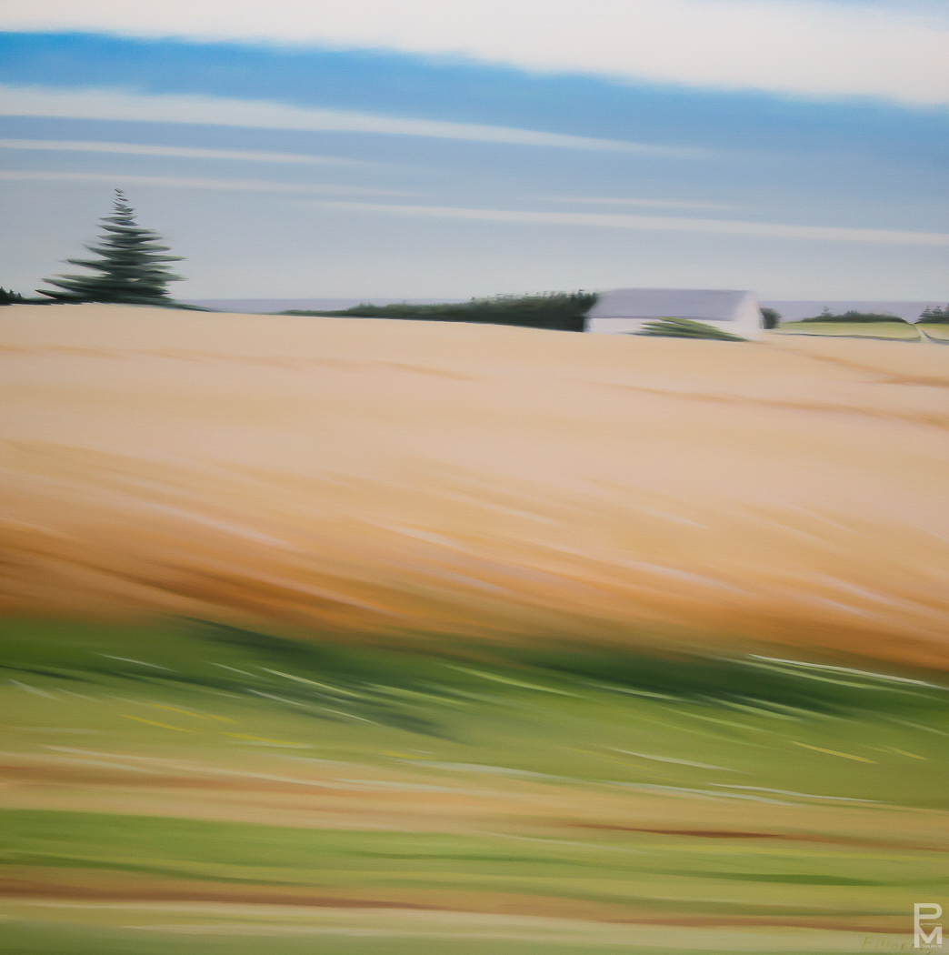 Oil painting of a moment on Prince Edward Island, seen from a moving vehicle on a beautiful summer day