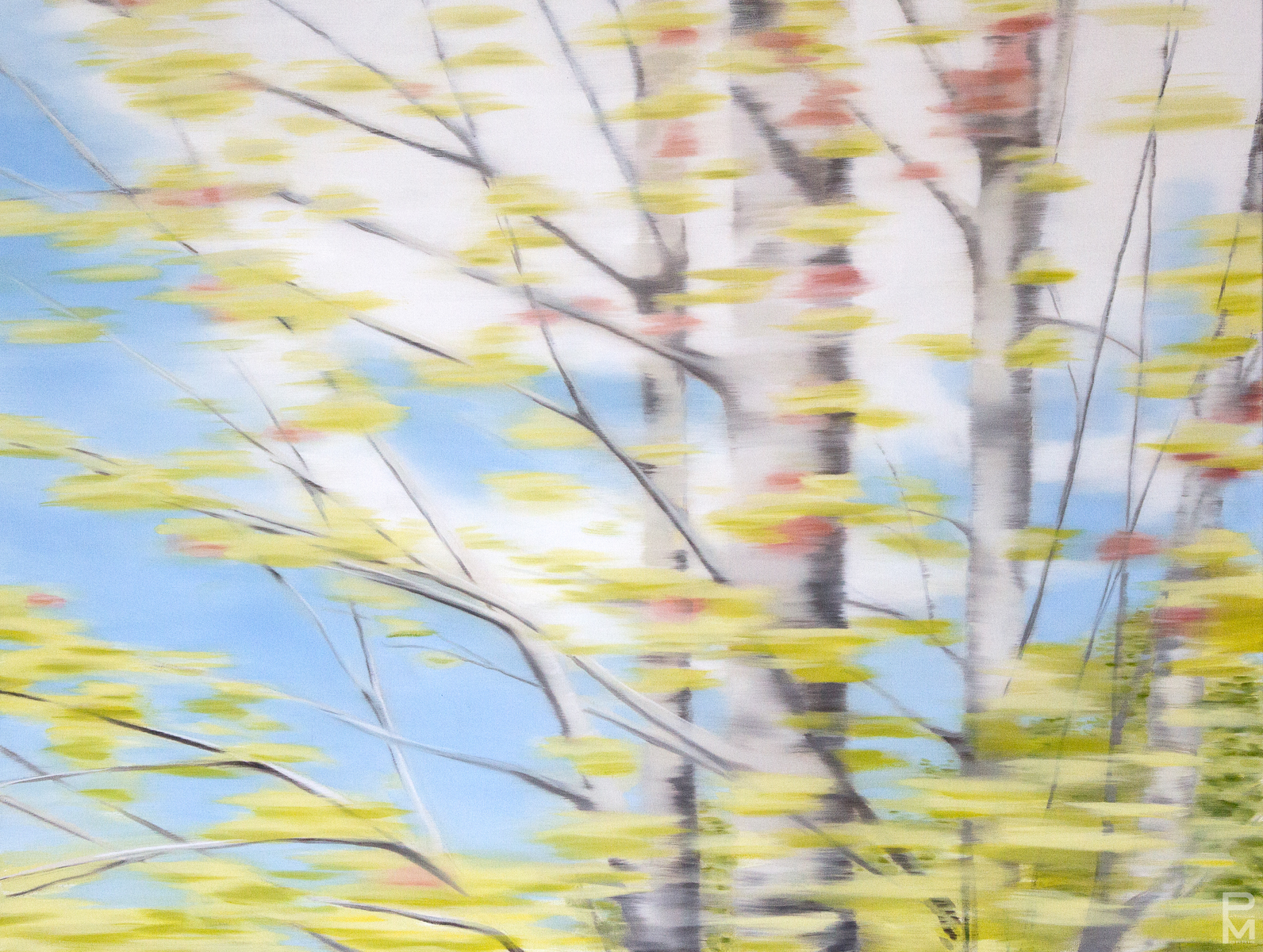 Trans Canada Drive painting, Nova Scotia, blurred view of a pear tree in spring