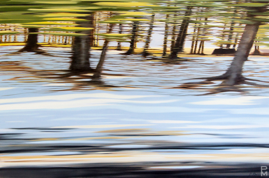 Trans Canada Drive painting, Drive-by view of a spring shore in Nova Scotia