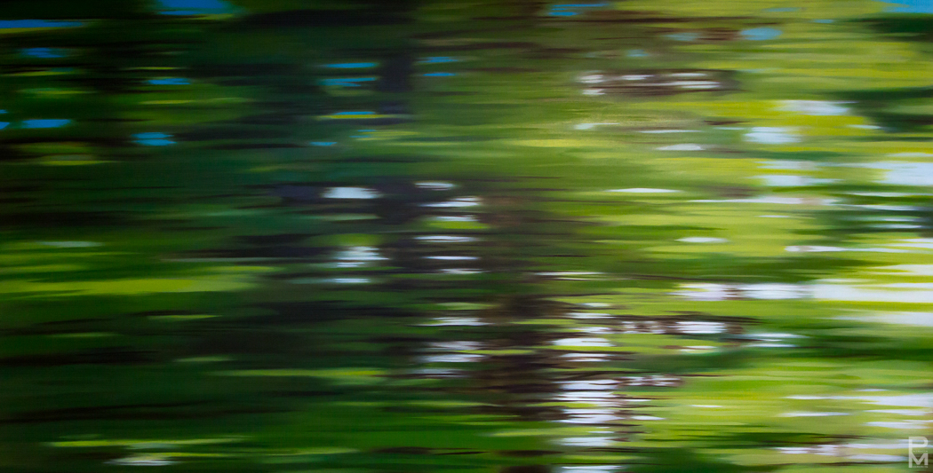 Trans Canada Drive painting, view of blurred trees in summer, British Columbia