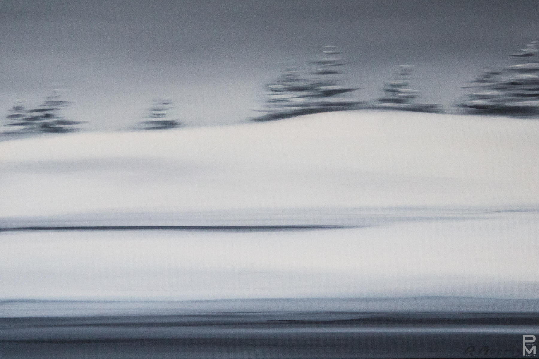 Black and white oil painting of snowbanks and small spruce trees seen from a moving vehicle in winter, Quebec